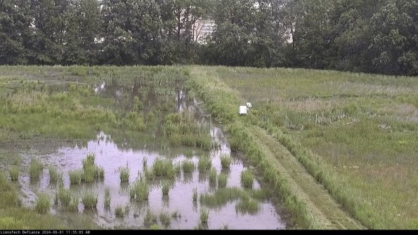 Cell 3 to 4_24-06-01_11-35-06-34