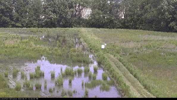 Cell 3 to 4_24-06-01_12-42-04-34