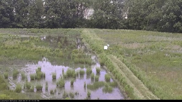 Cell 3 to 4_24-06-01_13-15-34-33