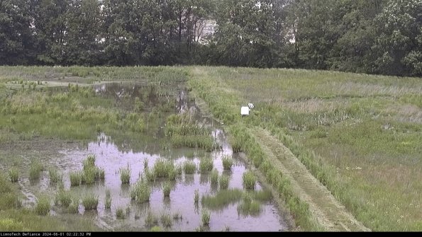 Cell 3 to 4_24-06-01_14-22-33-34