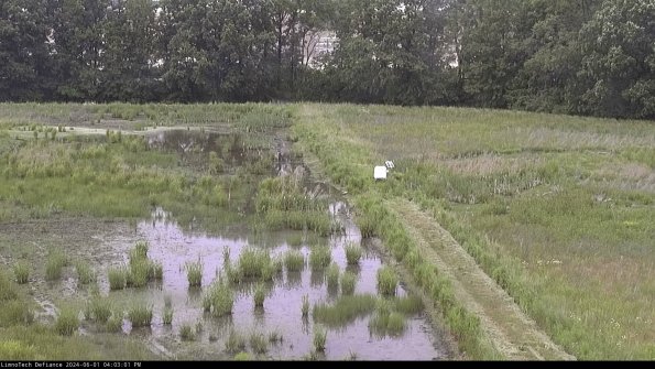 Cell 3 to 4_24-06-01_16-03-02-32