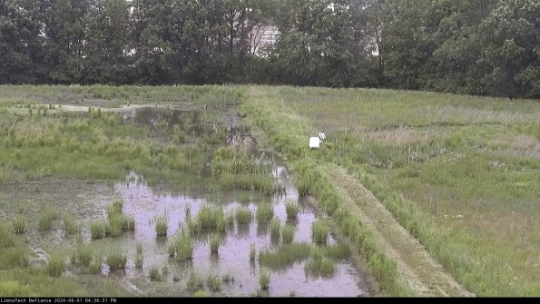 Cell 3 to 4_24-06-01_16-36-32-34