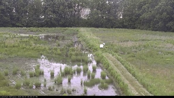 Cell 3 to 4_24-06-01_17-43-32-35