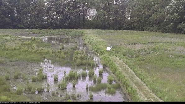 Cell 3 to 4_24-06-01_18-17-02-31