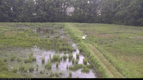 Cell 3 to 4_24-06-01_19-24-01-31