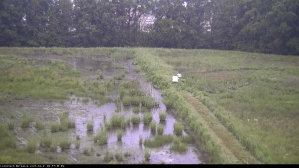 Cell 3 to 4_24-06-01_19-57-30-33