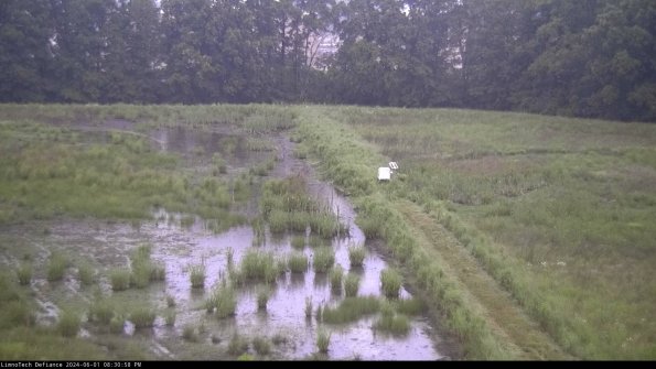 Cell 3 to 4_24-06-01_20-30-59-35