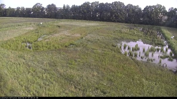 Cell 3_24-06-01_07-40-26-31