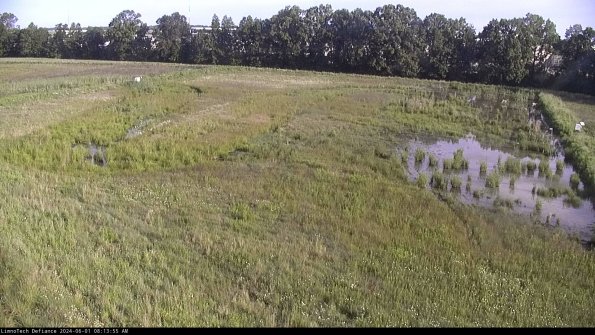 Cell 3_24-06-01_08-13-56-34