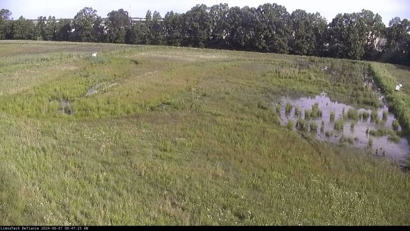 Cell 3_24-06-01_08-47-26-33