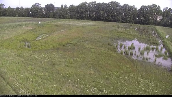 Cell 3_24-06-01_09-54-25-33