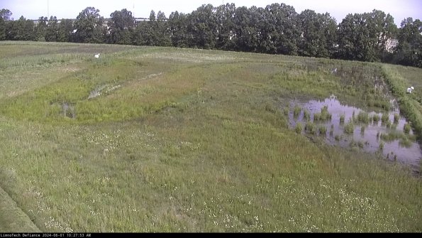 Cell 3_24-06-01_10-27-54-32