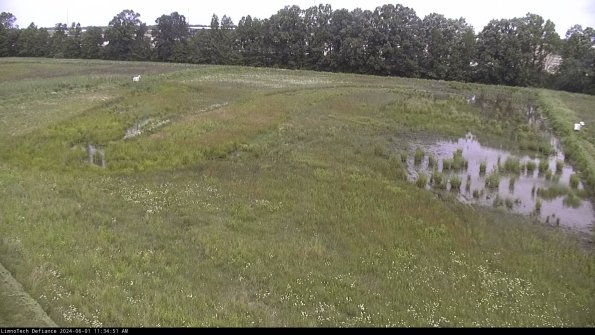 Cell 3_24-06-01_11-34-52-32