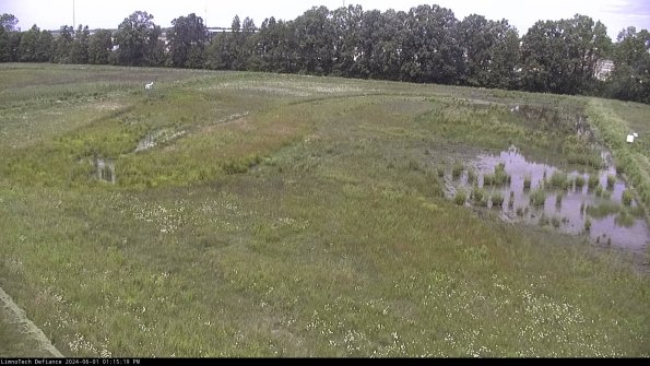 Cell 3_24-06-01_13-15-20-32