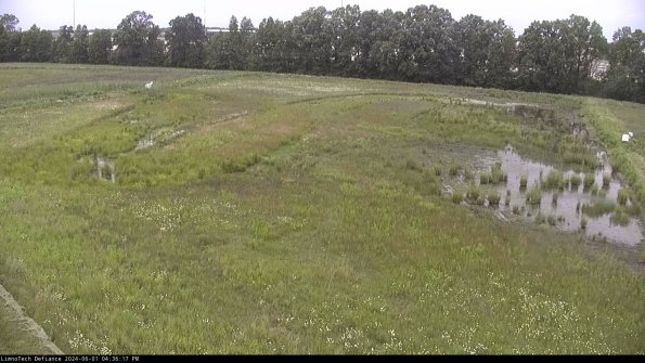 Cell 3_24-06-01_16-36-18-33