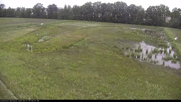 Cell 3_24-06-01_17-09-48-35