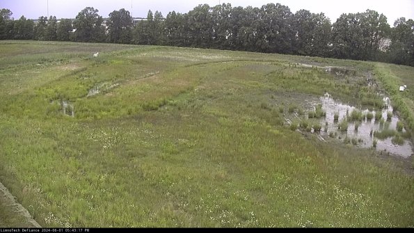 Cell 3_24-06-01_17-43-18-34