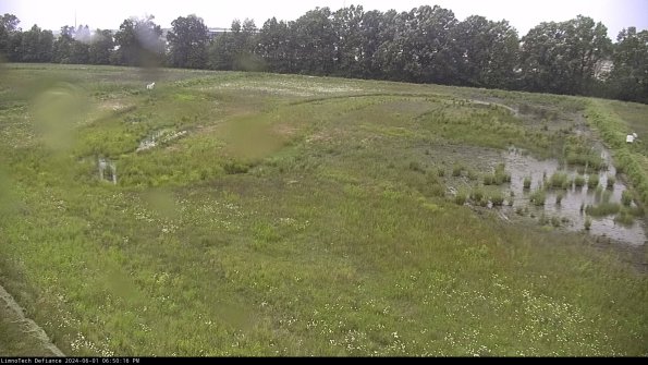 Cell 3_24-06-01_18-50-17-31