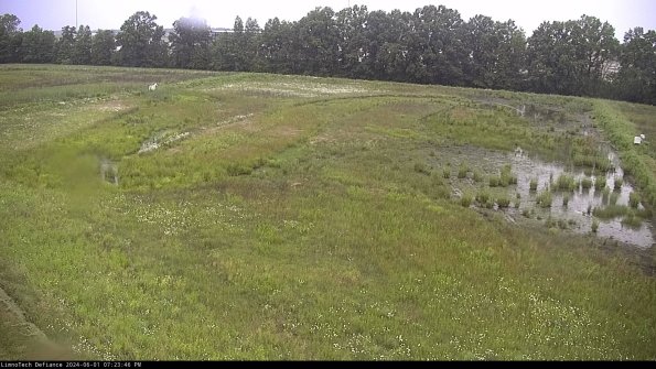 Cell 3_24-06-01_19-23-47-33