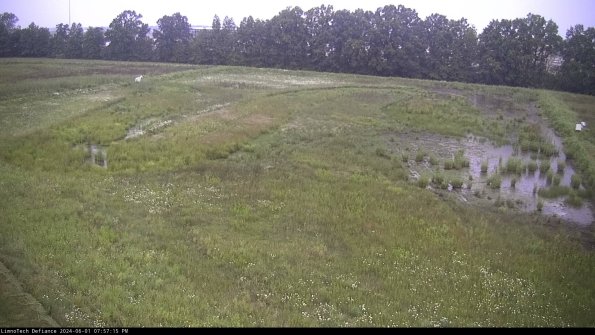 Cell 3_24-06-01_19-57-16-31