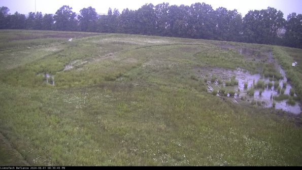 Cell 3_24-06-01_20-30-45-57