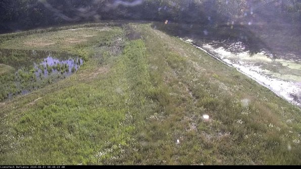 Cell 4 to Basin_24-06-01_08-48-24-35