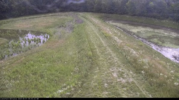 Cell 4 to Basin_24-06-01_09-55-23-36