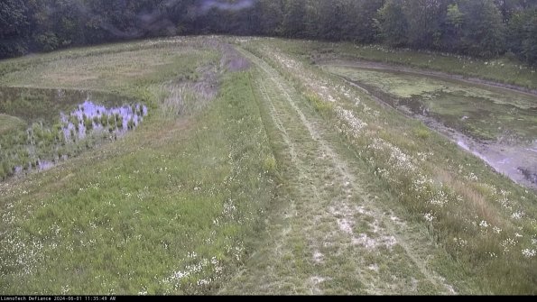 Cell 4 to Basin_24-06-01_11-35-50-35