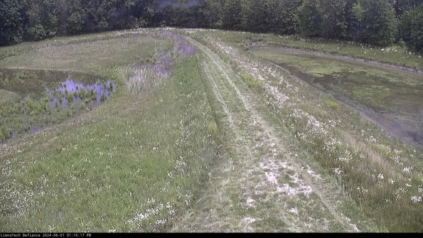 Cell 4 to Basin_24-06-01_13-16-18-34