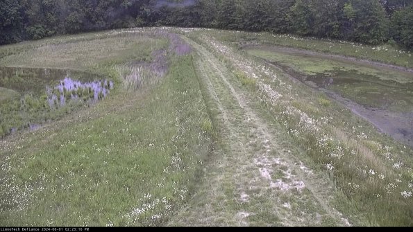 Cell 4 to Basin_24-06-01_14-23-17-31