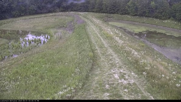 Cell 4 to Basin_24-06-01_15-30-16-35