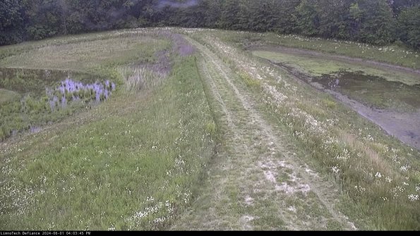 Cell 4 to Basin_24-06-01_16-03-46-37