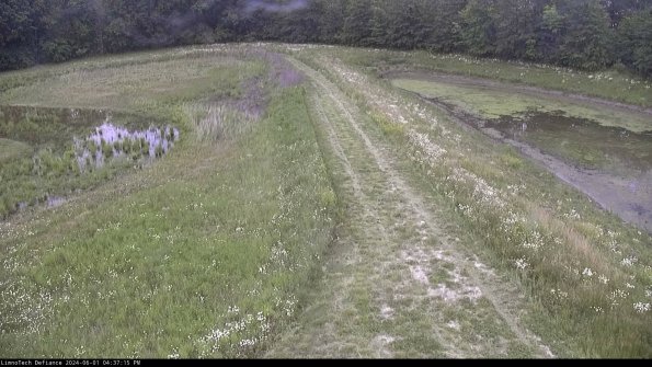 Cell 4 to Basin_24-06-01_16-37-16-32