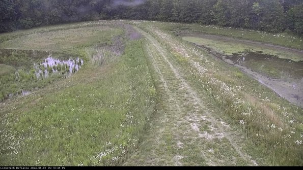 Cell 4 to Basin_24-06-01_17-10-46-34