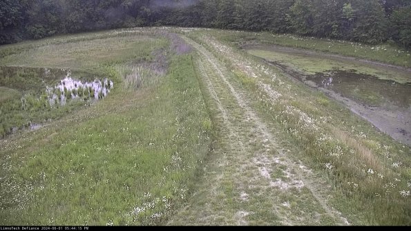 Cell 4 to Basin_24-06-01_17-44-16-33