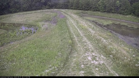 Cell 4 to Basin_24-06-01_18-17-46-35