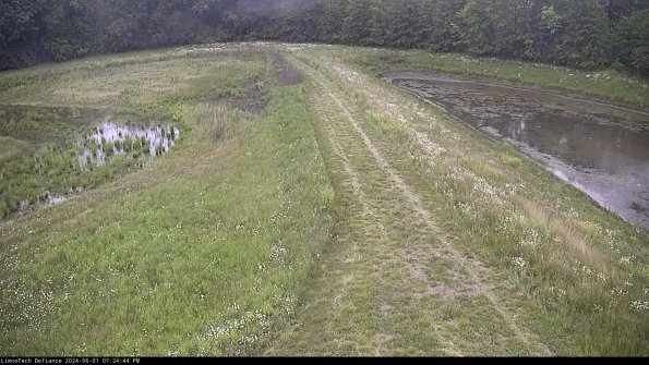 Cell 4 to Basin_24-06-01_19-24-45-32