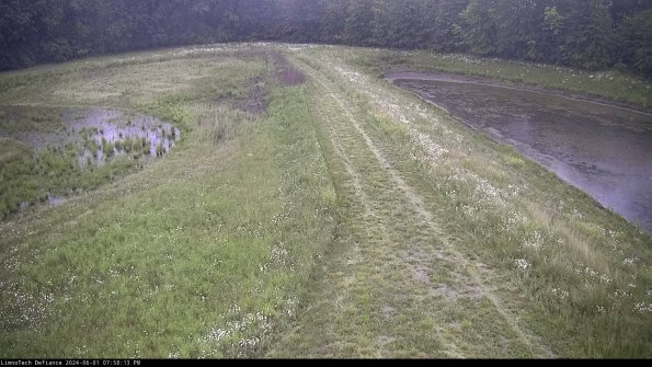 Cell 4 to Basin_24-06-01_19-58-14-37