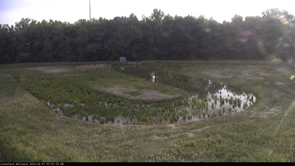 Cell 4_24-06-01_07-07-24-32