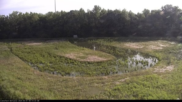 Cell 4_24-06-01_08-14-24-33