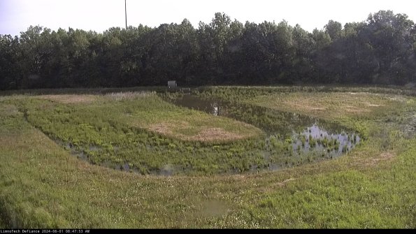 Cell 4_24-06-01_08-47-54-32