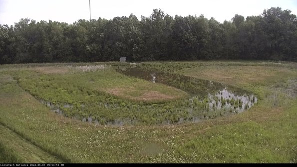 Cell 4_24-06-01_09-54-53-33