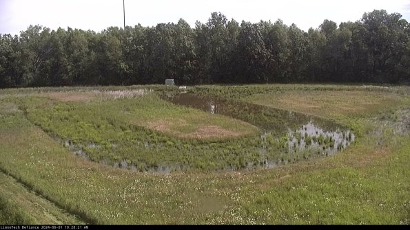 Cell 4_24-06-01_10-28-22-35