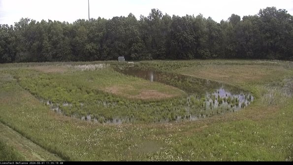 Cell 4_24-06-01_11-35-20-35