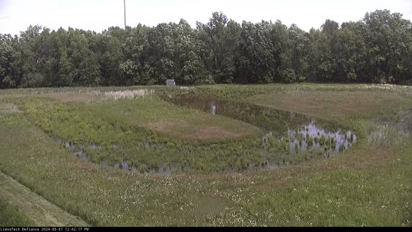 Cell 4_24-06-01_12-42-18-32