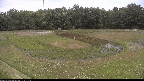 Cell 4_24-06-01_13-15-48-34