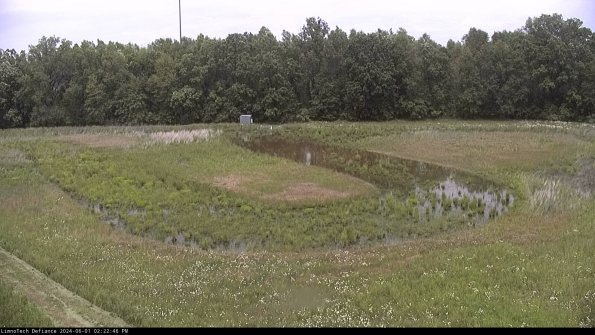 Cell 4_24-06-01_14-22-47-32