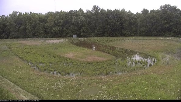 Cell 4_24-06-01_16-36-46-32