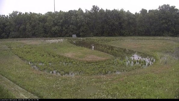 Cell 4_24-06-01_17-10-16-31