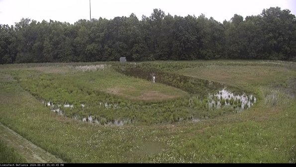 Cell 4_24-06-01_17-43-46-33